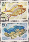СССР 1983 год . Рыбы , часть серии . Каталог 0,80 €. 