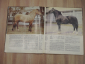 книга альбом коневодство в СССР лошади лошадь конный спорт конь конный завод породы лошадей - вид 4