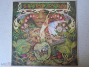 Spyro Gyra – Morning Dance (MCA Records 1984; Germany)
