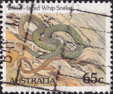 Австралия 1984 год . Желтолицая хлыстовидная змея .Каталог 1,50 £