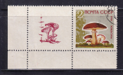 СССР 1964  год. Грибы. марка + купон. 2коп.  ( А-23-123 )