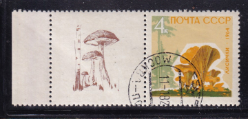 СССР 1964  год. Грибы. марка + купон. 4коп.  ( А-23-125 )