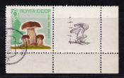 СССР 1964  год. Грибы. марка + купон. 6коп.  ( А-23-125 )