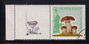 СССР 1964  год. Грибы. марка + купон. 6коп.  ( А-23-126 )