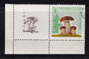 СССР 1964  год. Грибы. марка + купон. 6коп.  ( А-23-126 )