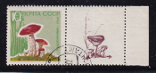 СССР 1964  год. Грибы. марка + купон. 10 коп.  ( А-23-126 )