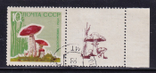 СССР 1964  год. Грибы. марка + купон. 10 коп.  ( А-23-126 )