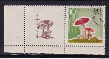 СССР 1964  год. Грибы. марка + купон. 10 коп.  ( А-23-127 )