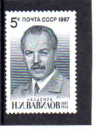СССР 1987  год.  Вавилов. ( А-23-153 )