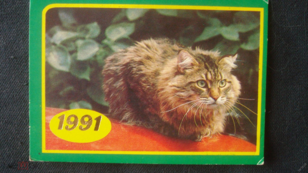 Календарь. "Кошка". 1991 г.