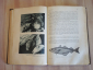 книга Брем жизнь животных том 3 зоология животные хордовые рыбы земноводные СССР 1939 г. - вид 3