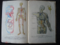 Анатомия и физиология человека. 1959 г. - вид 1