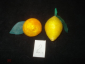 Ёлочные ватные старые украшения. 2 штуки (мандарин+лимон) в лоте. СССР._2 - вид 1