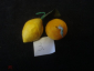 Ёлочные ватные старые украшения. 2 штуки (мандарин+лимон) в лоте. СССР _3 - вид 3