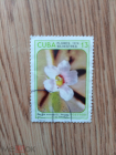 Флора. Цветок. Куба. 1974г. Марки 1 шт.