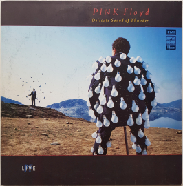 Pink Floyd "Delicate Sound Of Thunder" 1988/1990 2Lp  