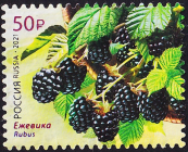 Россия 2021 год . Ежевика (Rubus) . Каталог 5,20 €